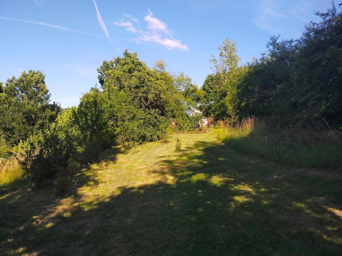 Tiny Messancy, Une Immersion Dans La Nature ! Exteriér fotografie
